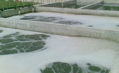 高浓度有机废水应该怎么处理？